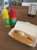 hotdog01