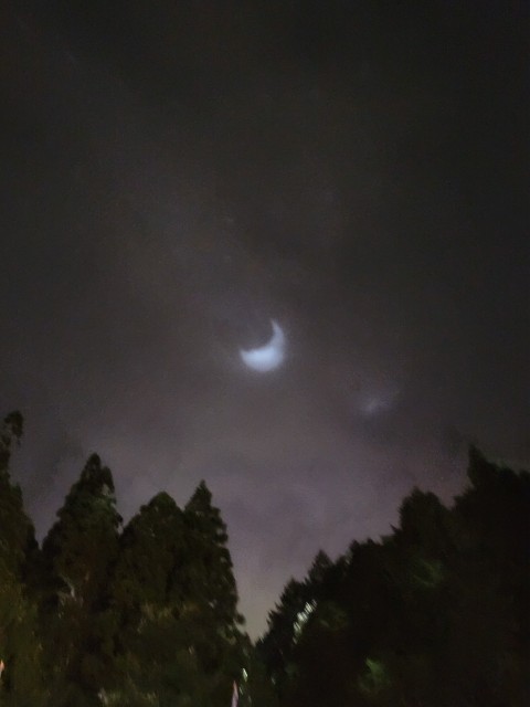 LINE_ALBUM_エッセイ夜の写真_251217_2