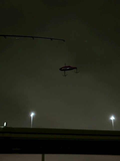 LINE_ALBUM_エッセイ夜の写真_251217_1