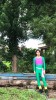写真１