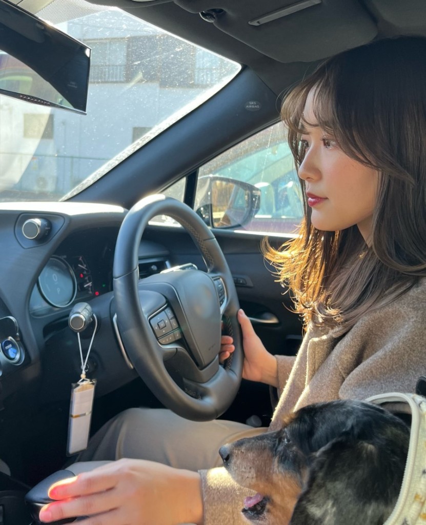 ブログドライブ