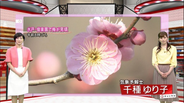 0225SJ_chikusa_010_0