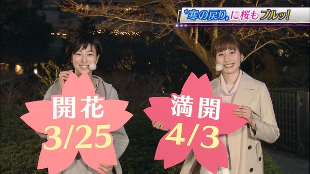 0311SJ_chikusa_001_0