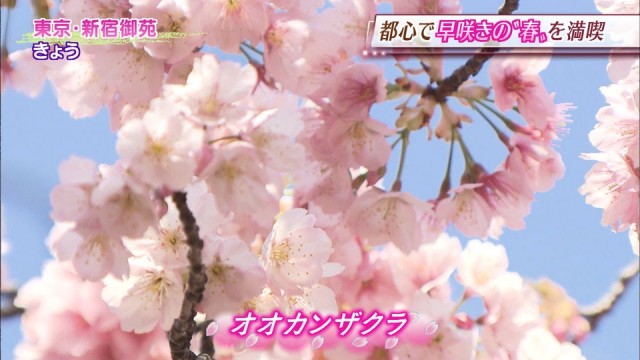 0311SJ_chikusa_003_0