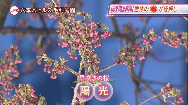 0318SJ_chikusa_002_0