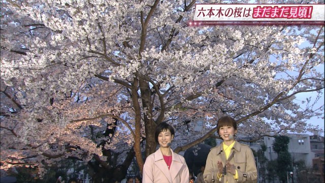 0408SJ_chikusa_001_0